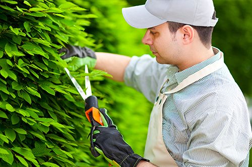 Novaliss emploi espaces verts