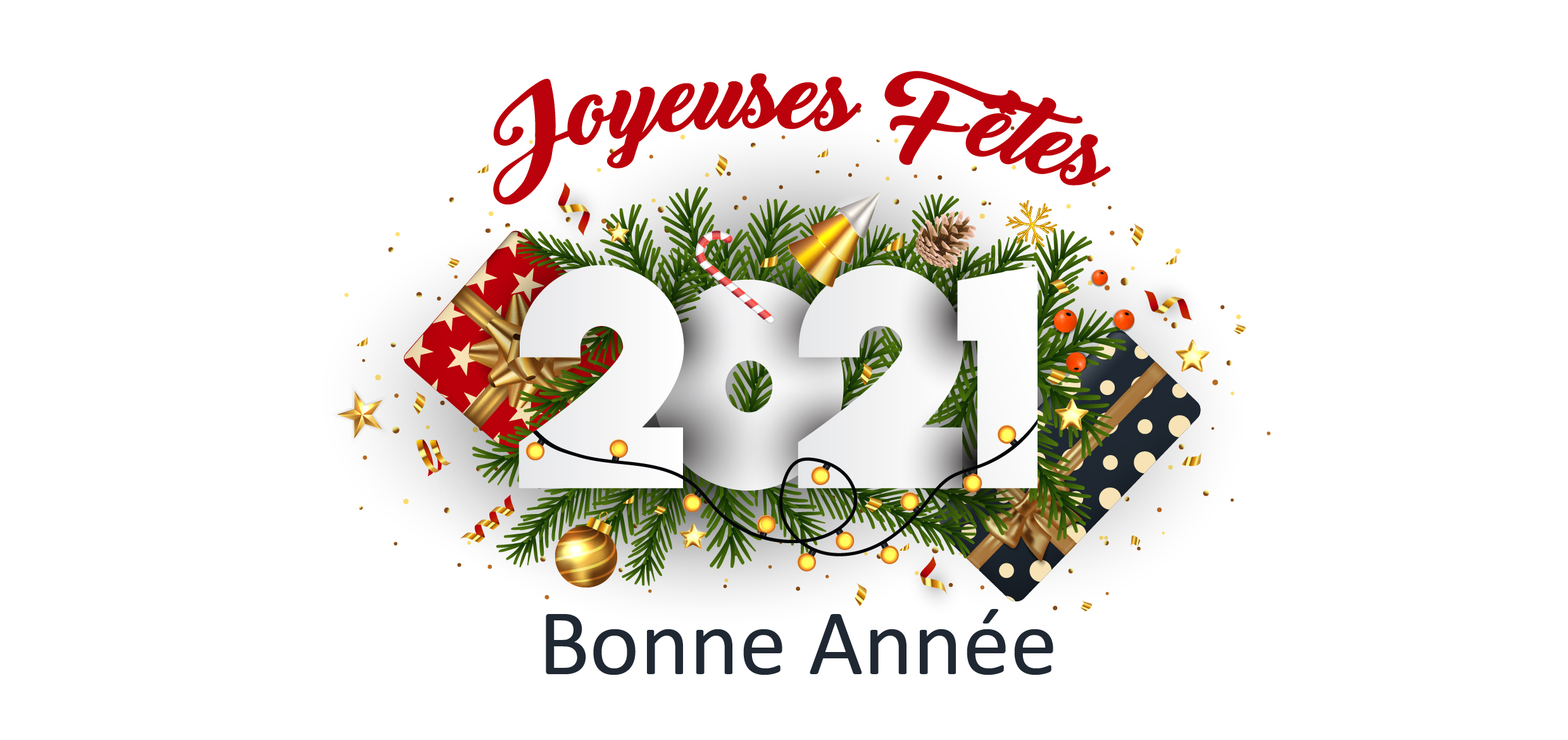 Bonne année 2021 de Novaliss, emploi solidaire en Vendée