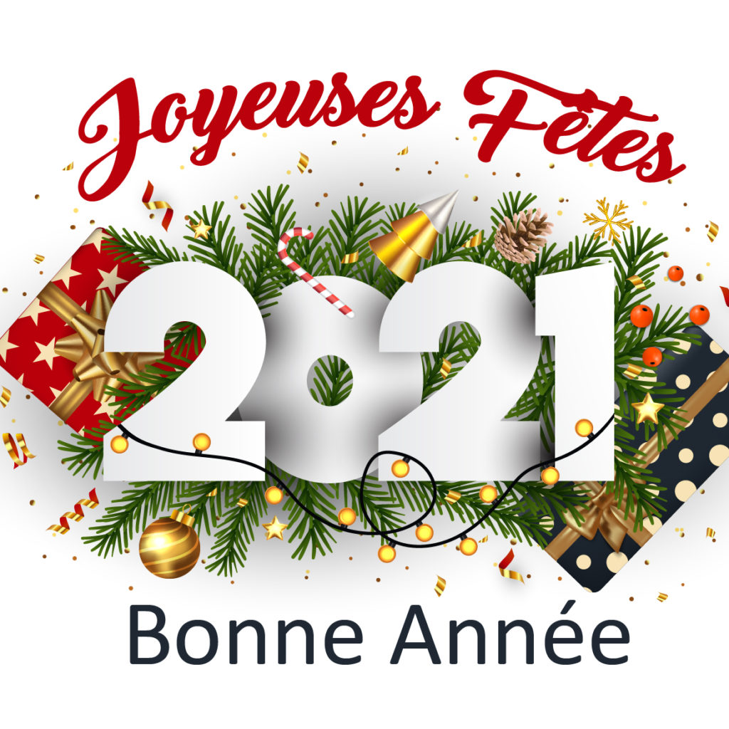 Bonne année 2021 de Novaliss, emploi solidaire en Vendée